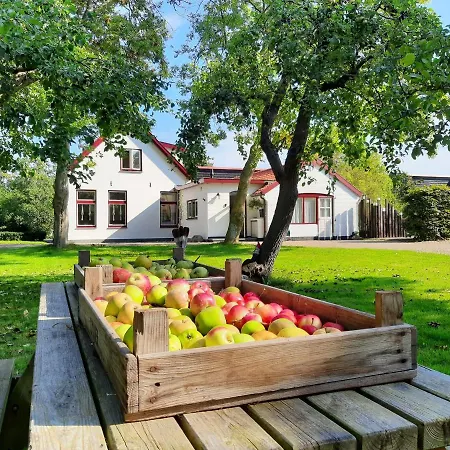 Appartement De Vrijheid-melkstal De Cocksdorp (Texel)