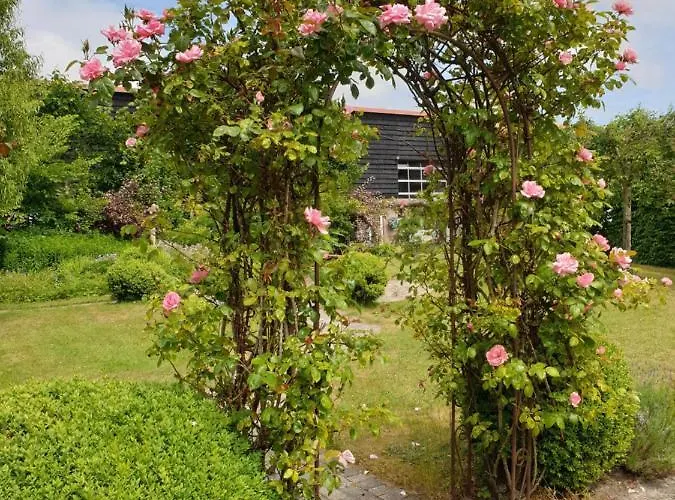 De Vrijheid-melkstal Daire