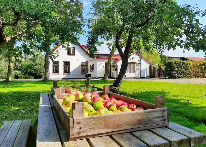 Appartement De Vrijheid-melkstal De Cocksdorp (Texel)